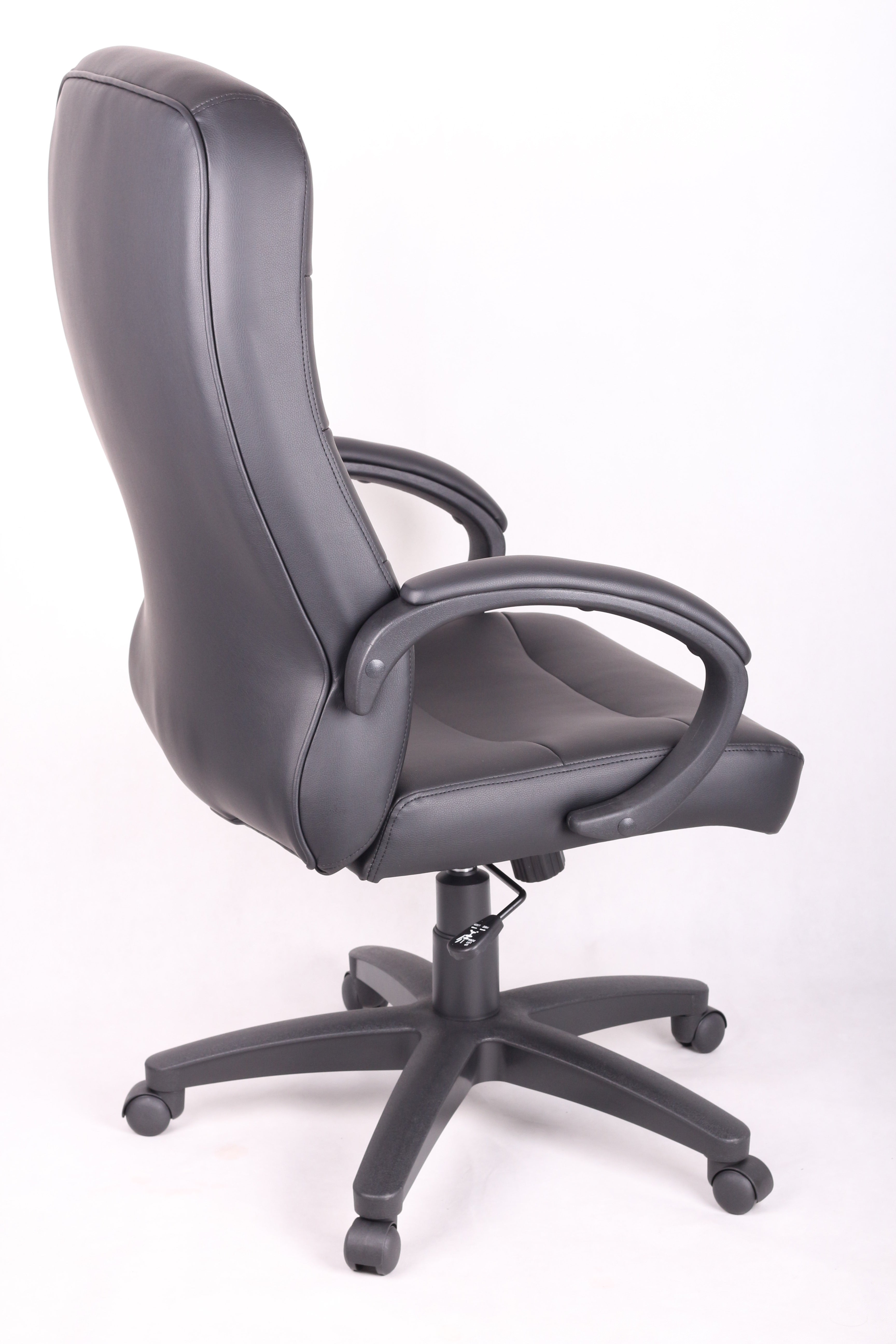ViscoLogic PRAGMA Ergonomic High-Back Adjustable Swivel Home Office Computer Desk Chair (Black)